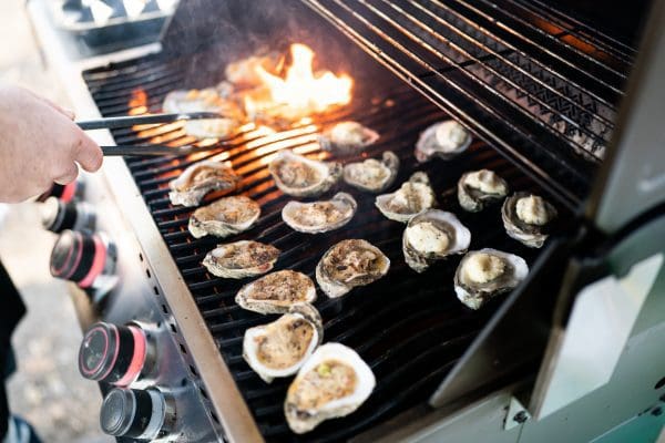 Bayou Carlin Oyster Kit - Image 4