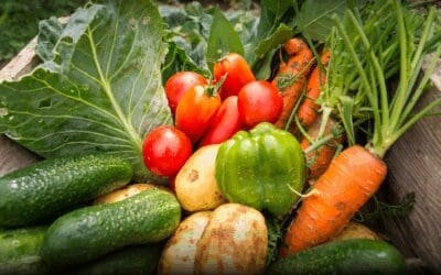 When Garden Meats Grill:  4 Best Stop Recipes for Your Backyard Bounty