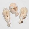 Frog Legs - Image 3