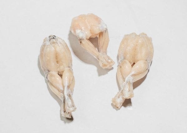 Frog Legs - Image 3