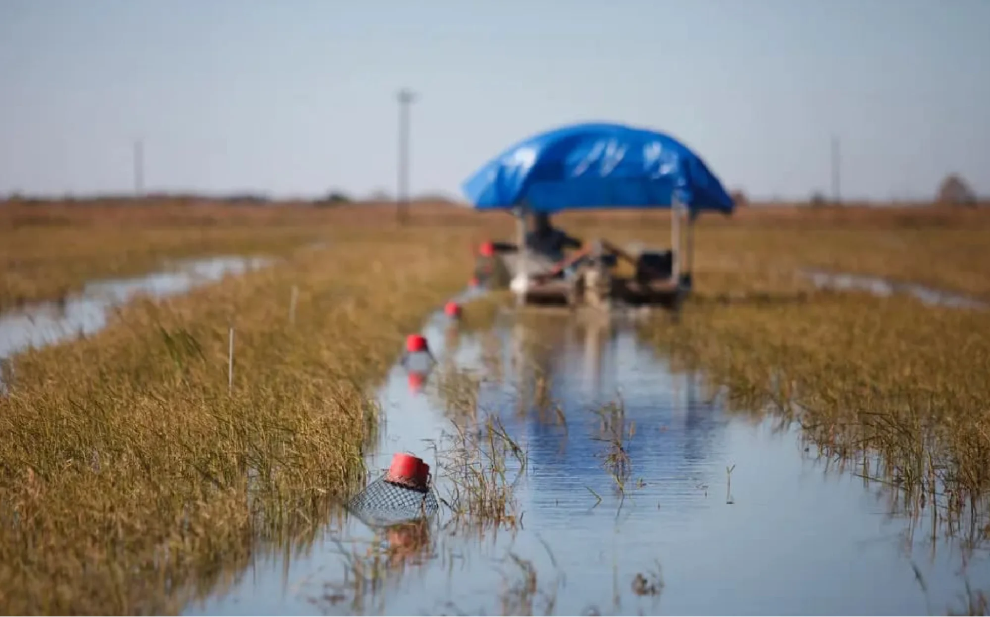A Season That Defines Louisiana