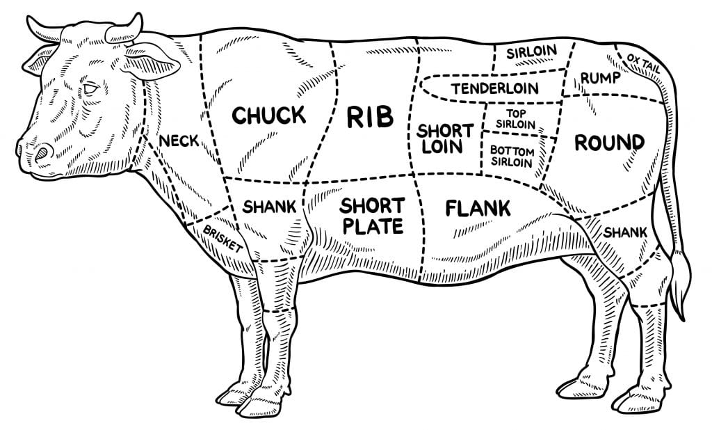 Butcher Diagram Showing 8 Cuts of Beef And Primal Cuts of Cow For Meat
