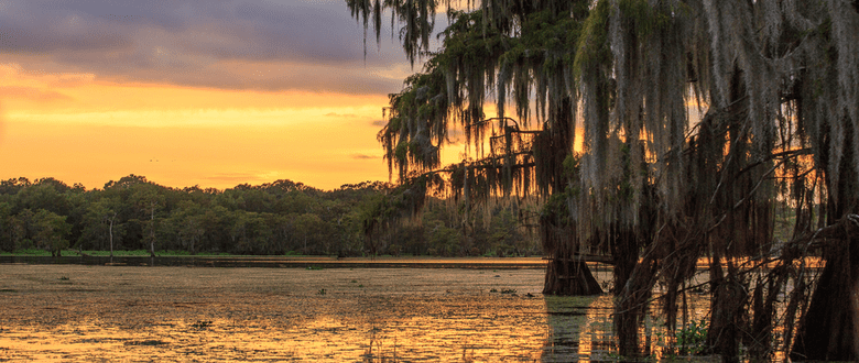 Bayou sunset with lake and cypress tree