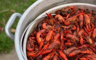 Mudbug Magic: 3 Unconventional Ways to Boil Your Crawfish